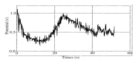 Figure 1. April 6, 2009 near noon. Graph of over the hill response 
to about a 0.75 sec hit to a salt filled sample in the lab